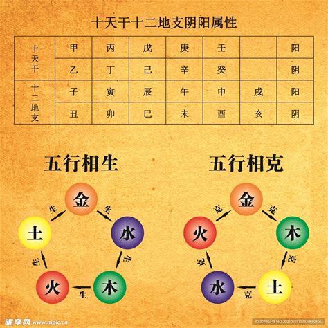 生肖五行五行相生相克|属相相生相克表